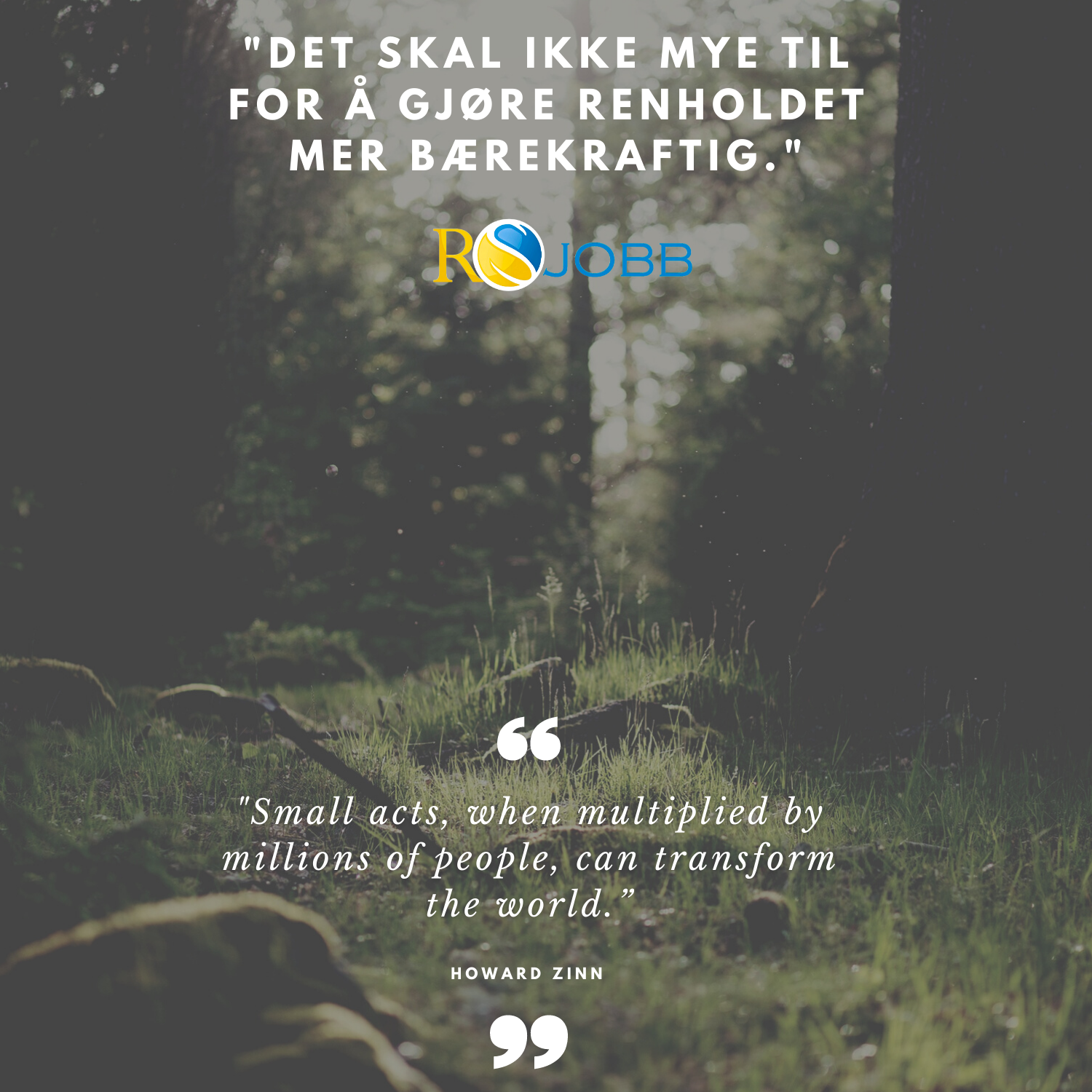 Miljøvennlig rengjøring